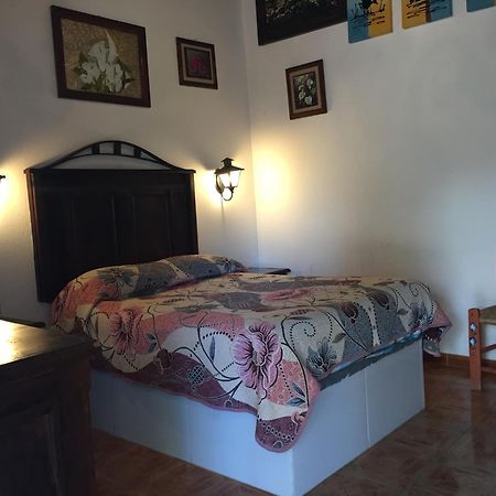 Margarita Hotel Bandita المظهر الخارجي الصورة